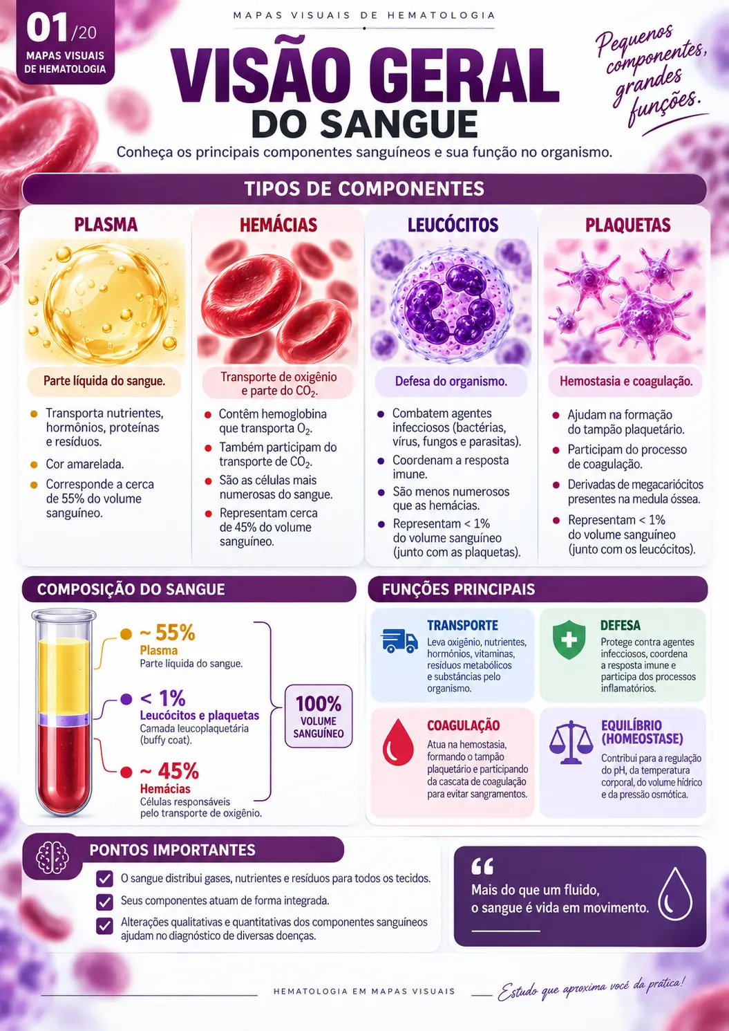 Visão Geral do Sangue e Seus Componentes