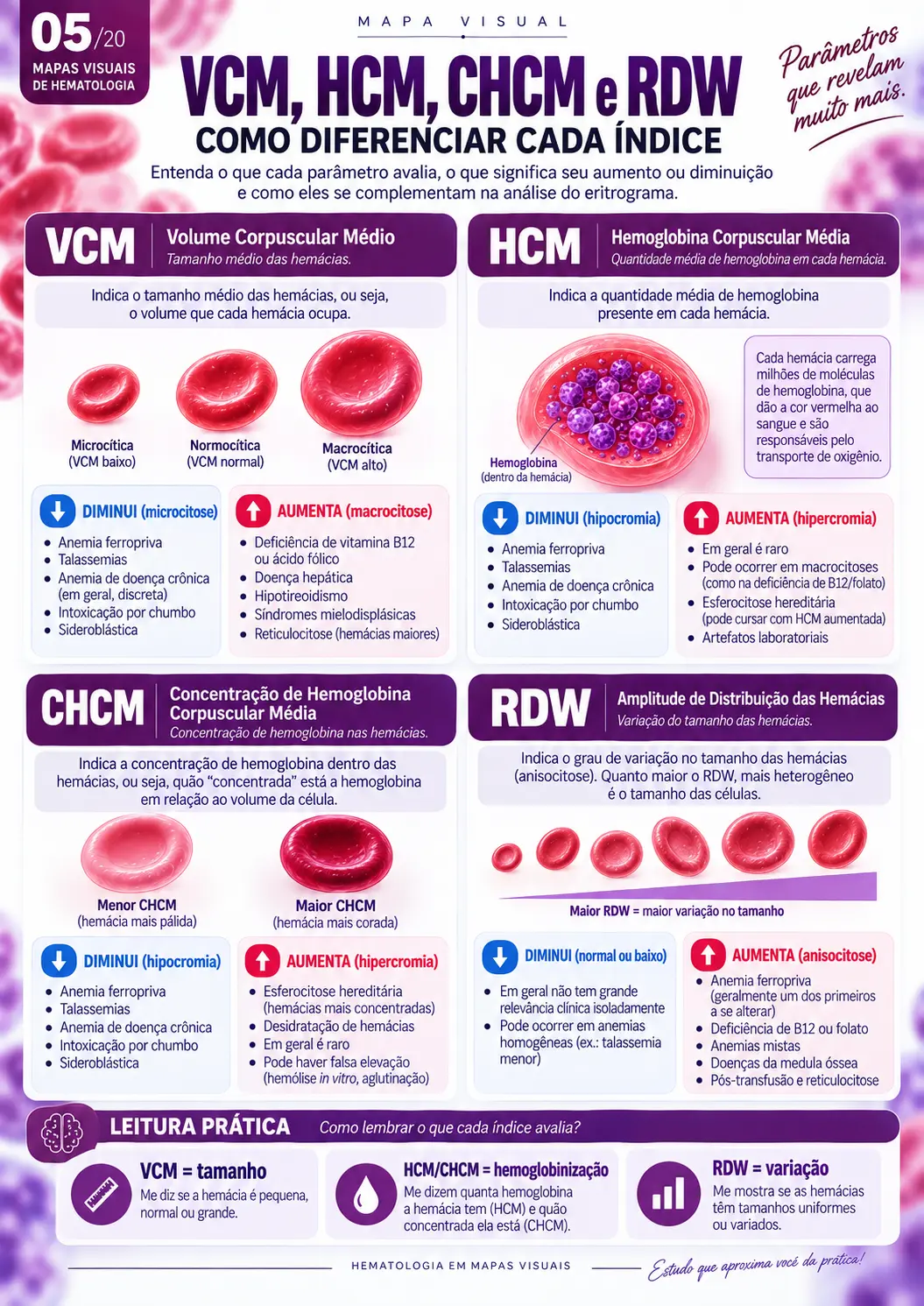 VCM, HCM, CHCM e RDW