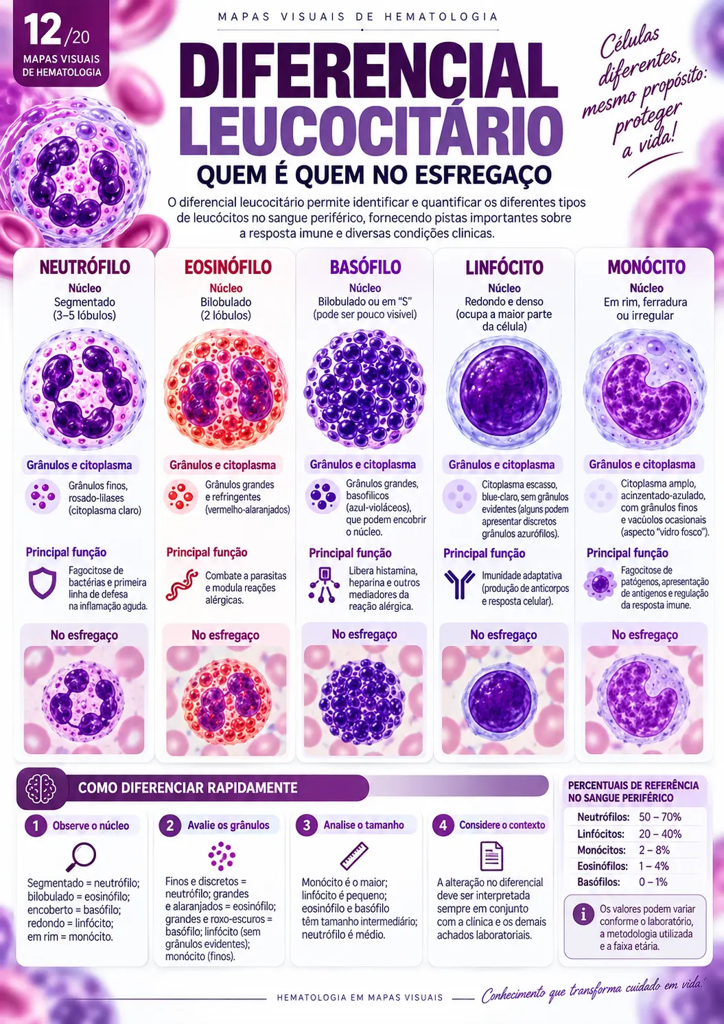 Diferencial Leucocitário — Quem é Quem no Esfregaço