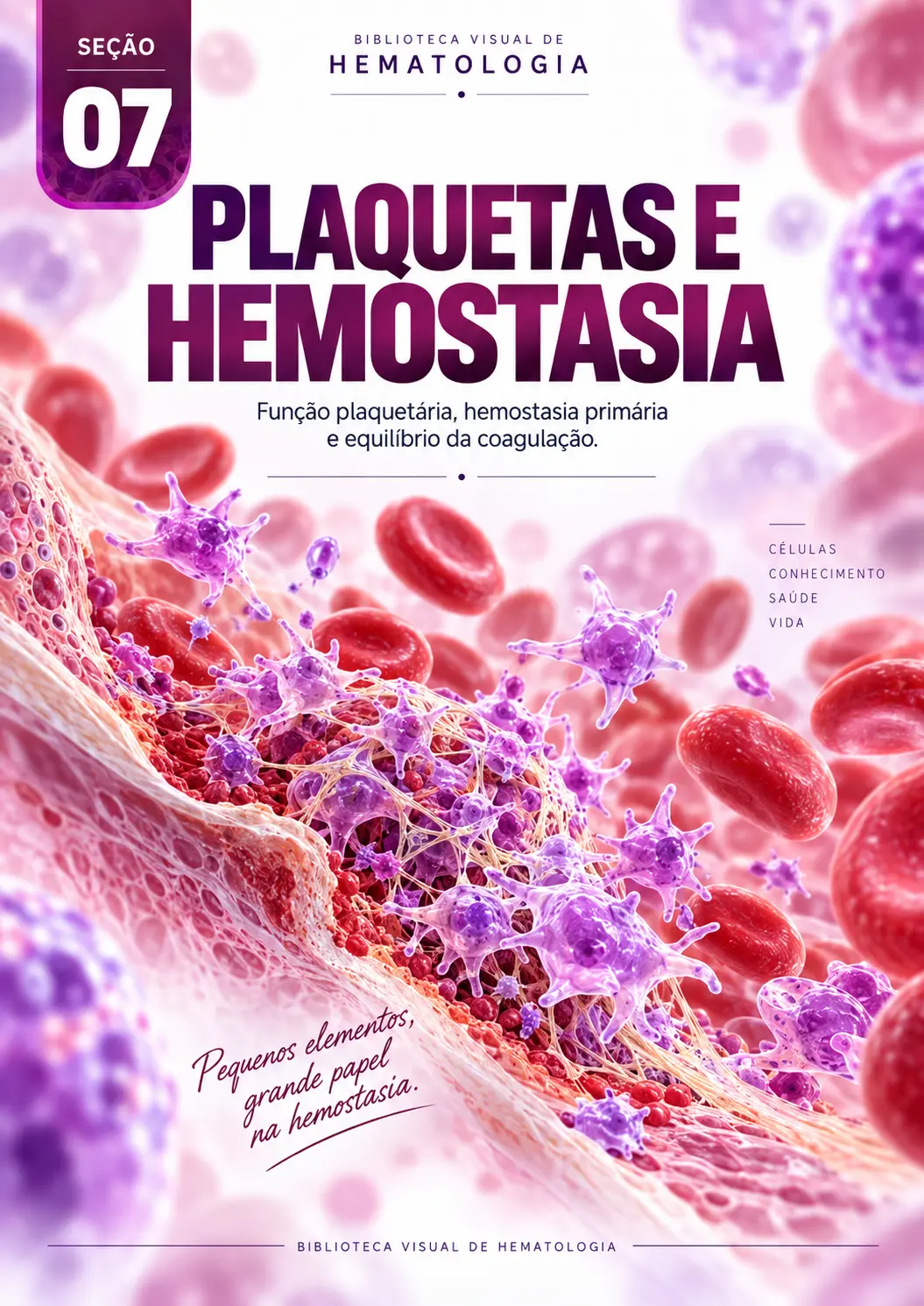 Plaquetas e Hemostasia